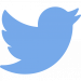 twitter-75x75